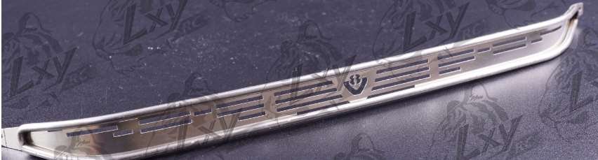 SCANIA Metal front mesh Type D LXY-0121-D